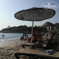 фото из отзыва ID 2048832