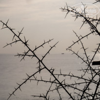 фото из отзыва ID 2048842