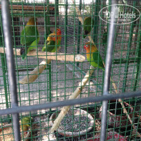 фото из отзыва ID 2049027