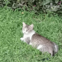 фото из отзыва ID 2049013