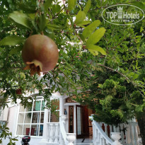 фото из отзыва ID 2049013