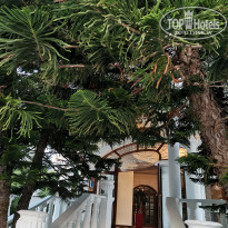 фото из отзыва ID 2049013