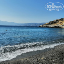 фото из отзыва ID 2049101