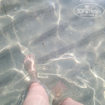 фото из отзыва ID 2046096