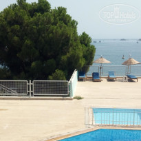 фото из отзыва ID 2044283