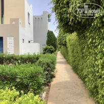 фото из отзыва ID 2049194