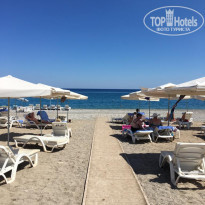 фото из отзыва ID 2049013