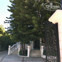 фото из отзыва ID 2049013