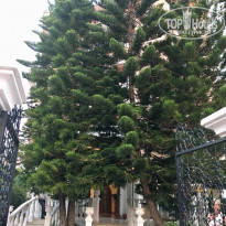 фото из отзыва ID 2049013