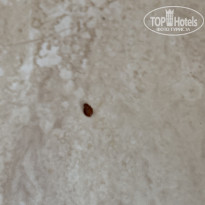 фото из отзыва ID 2049272