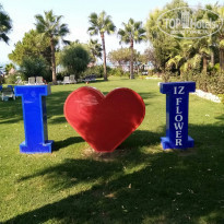 фото из отзыва ID 2048539