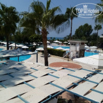 фото из отзыва ID 2048539