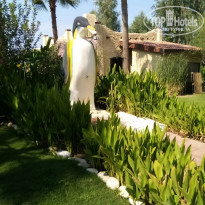 фото из отзыва ID 2048539