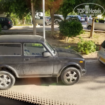 фото из отзыва ID 2049342