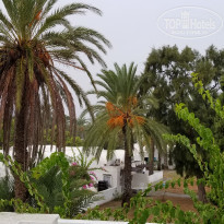 фото из отзыва ID 2049342