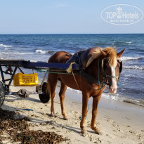 фото из отзыва ID 2049342