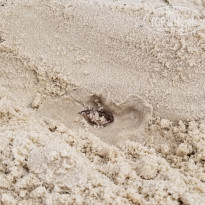 фото из отзыва ID 2049342