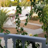 фото из отзыва ID 2049342