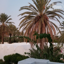 фото из отзыва ID 2049342