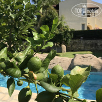 фото из отзыва ID 2049369