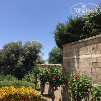 фото из отзыва ID 2049369