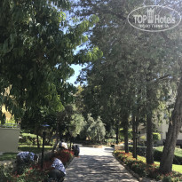 фото из отзыва ID 2049369