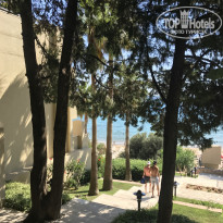 фото из отзыва ID 2049369