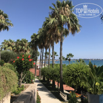 фото из отзыва ID 2049369