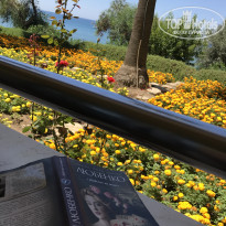 фото из отзыва ID 2049369