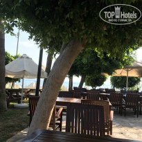 фото из отзыва ID 2049369