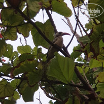 фото из отзыва ID 2049393