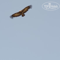 фото из отзыва ID 2049393