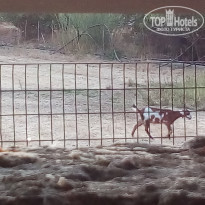 фото из отзыва ID 2049396