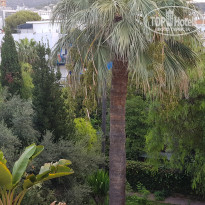 фото из отзыва ID 2049395