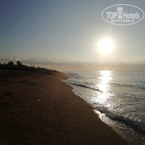 фото из отзыва ID 2049410