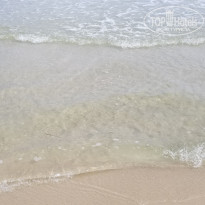 фото из отзыва ID 2049379