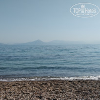 фото из отзыва ID 2049446