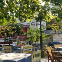 фото из отзыва ID 2049446