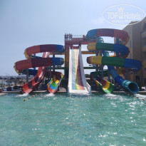 фото из отзыва ID 2049622