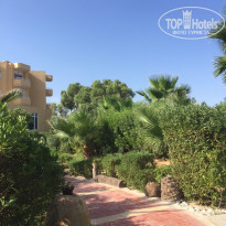 фото из отзыва ID 2049622