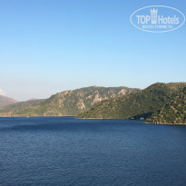 фото из отзыва ID 2049648