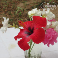 фото из отзыва ID 2048432