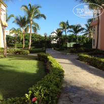 фото из отзыва ID 2047967