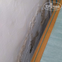 фото из отзыва ID 2049625