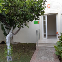 фото из отзыва ID 2049733