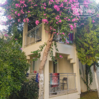 фото из отзыва ID 2049733