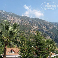 фото из отзыва ID 2049784