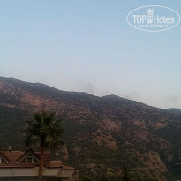 фото из отзыва ID 2049784