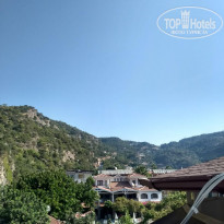 фото из отзыва ID 2049784