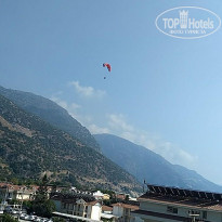 фото из отзыва ID 2049784